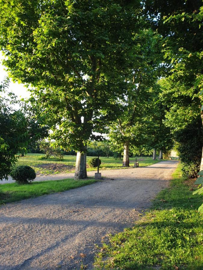 Domaine Des Jammetous - Hotel And Yoga Retreat Center La Magdelaine-Sur-Tarn ภายนอก รูปภาพ